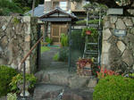DSCF4397.jpg