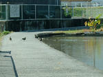 DSCF4403.jpg