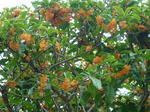 DSCF4404.jpg