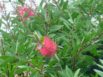 DSCF4406.jpg