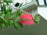 DSCF4407.jpg