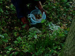 DSCF4410.jpg