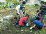 DSCF4420.jpg