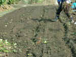 DSCF4424.jpg