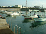 DSCF4428.jpg