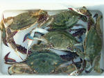 DSCF4430.jpg
