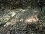 DSCF4459.jpg