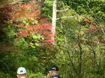 DSCF4460.jpg
