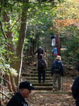 DSCF4469.jpg