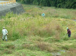 DSCF4476.jpg