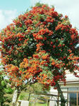 DSCF4486.jpg