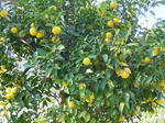 DSCF4487.jpg
