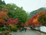 DSCF4498.jpg