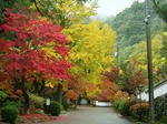 DSCF4499.jpg