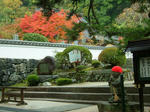 DSCF4500.jpg