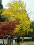 DSCF4502.jpg