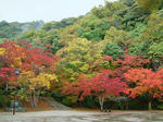 DSCF4503.jpg