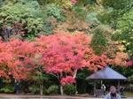 DSCF4504.jpg