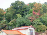 DSCF4510.jpg