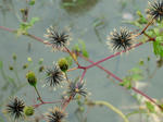 DSCF4511.jpg