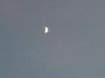 DSCF4517.jpg