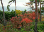 DSCF4519.jpg