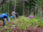 DSCF4544.jpg