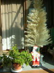 DSCF4548.jpg