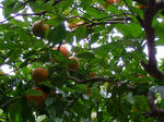 DSCF4566.jpg