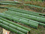 DSCF4570.jpg