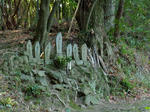 DSCF4612.jpg