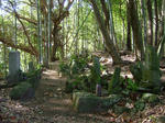 DSCF4614.jpg