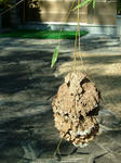 DSCF4618.jpg