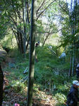 DSCF4611.jpg