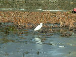DSCF4623.jpg