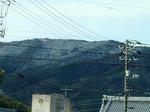 DSCF4624.jpg