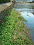 DSCF4627.jpg