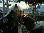 DSCF4631.jpg