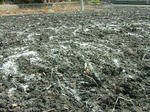 DSCF4636.jpg