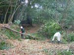 DSCF4641.jpg