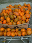 DSCF4647.jpg