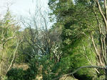 DSCF4651.jpg