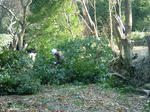 DSCF4652.jpg