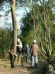 DSCF4654.jpg