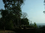 DSCF4656.jpg