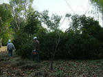 DSCF4657.jpg