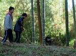 DSCF4662.jpg