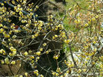 DSCF4663.jpg