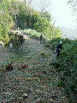 DSCF4666.jpg