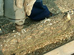 DSCF4668.jpg